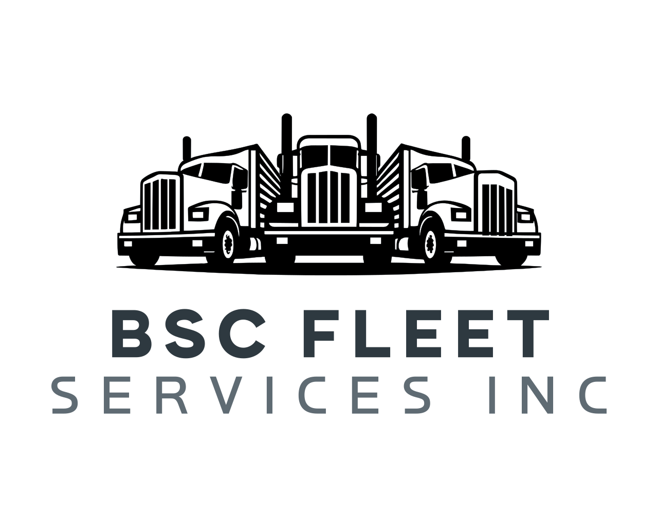 BSC Fleet Care logo